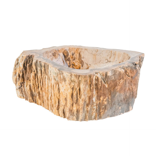 Waschbecken Fossil Holz