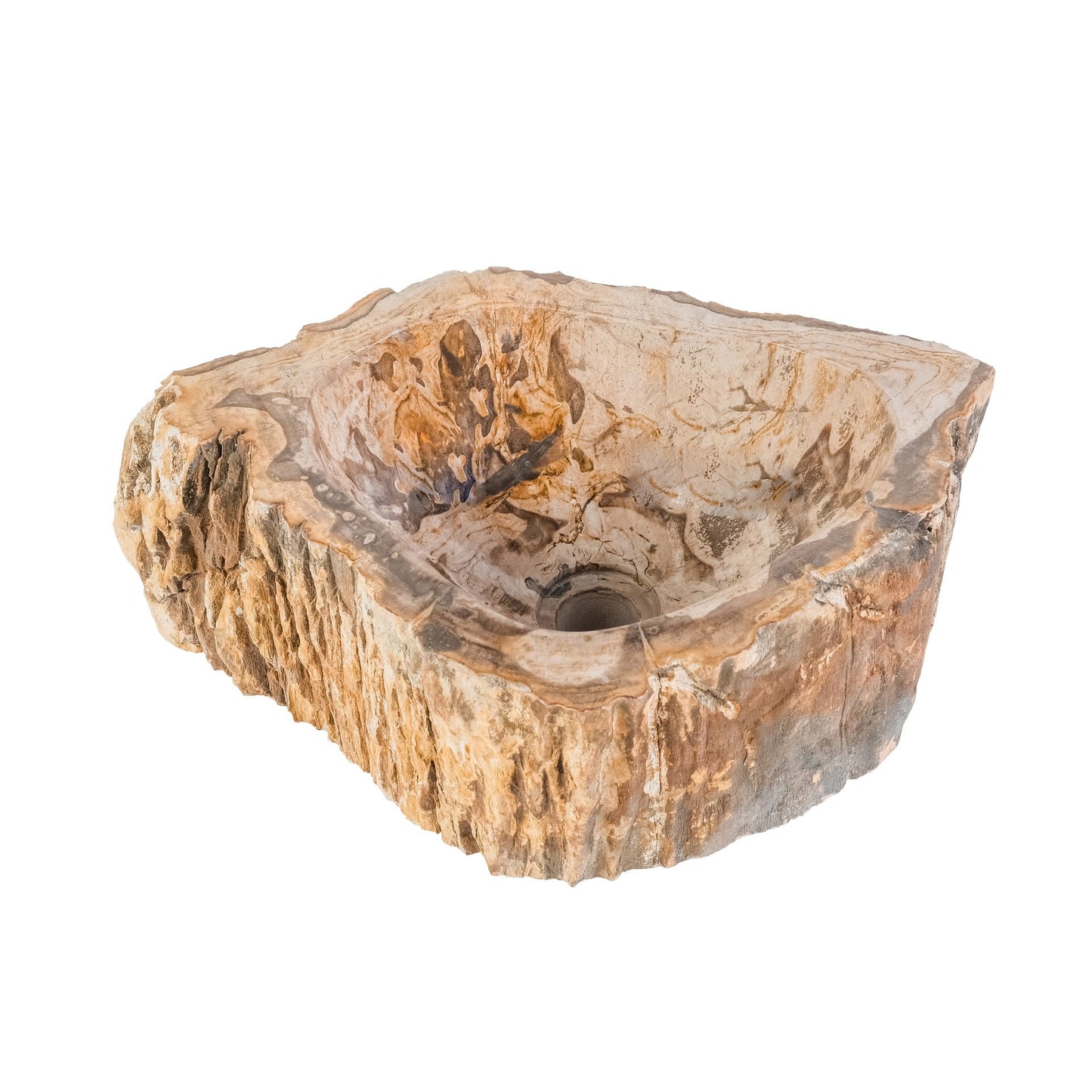 Waschbecken Fossil Holz