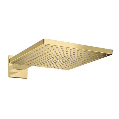 Hansgrohe Raindance E - Kopfbrause E 300 mit Duscharm, Gold poliert