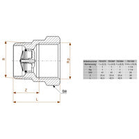 VI Gas Strömungswächter 2647.2 R1 x Rp1 x (4,0cbm/h) Messing